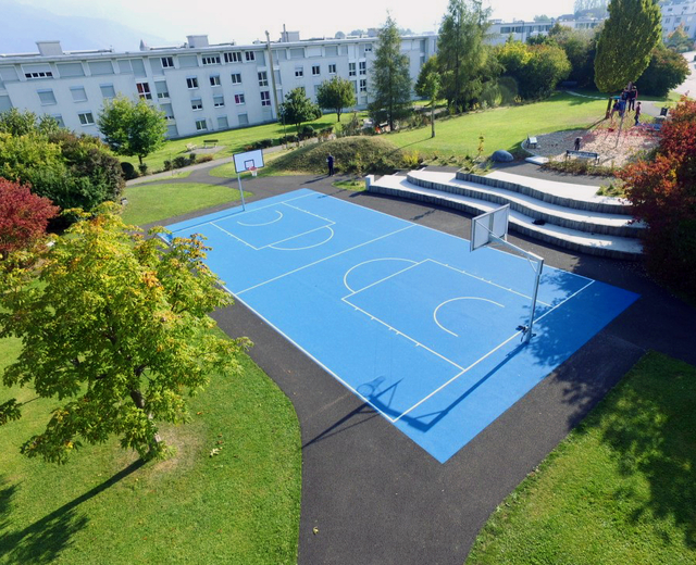 multisports