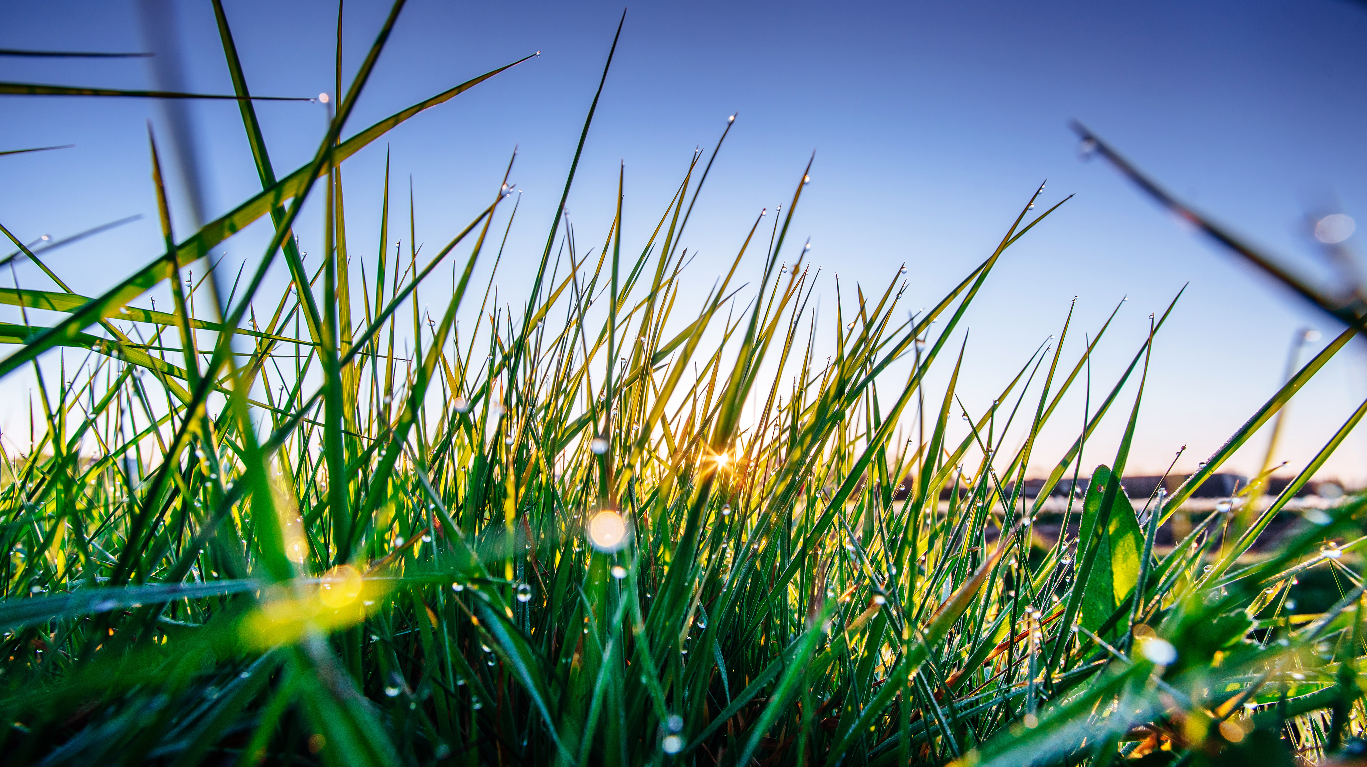 GREENKEEPER