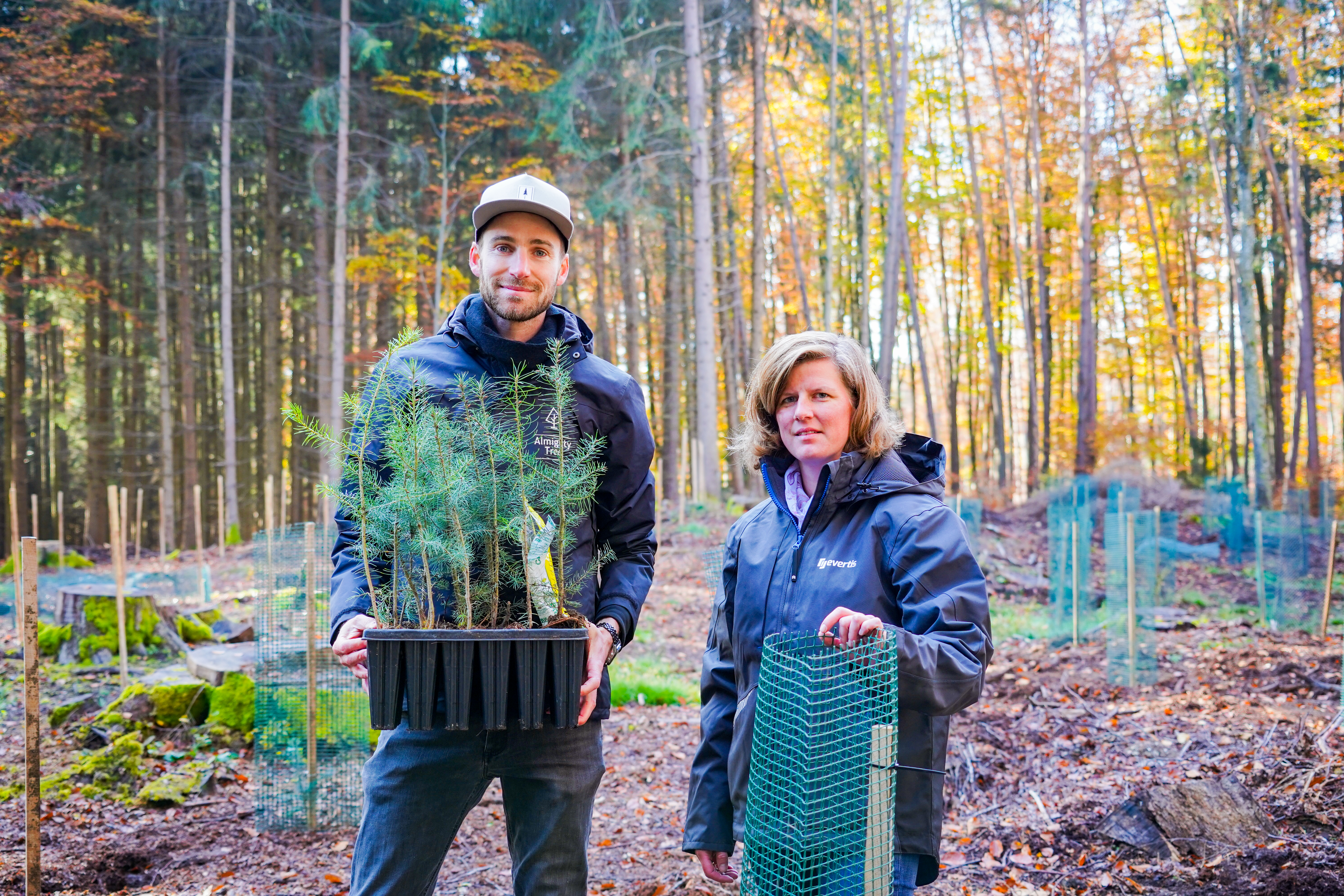 plantation d'arbre Realsport