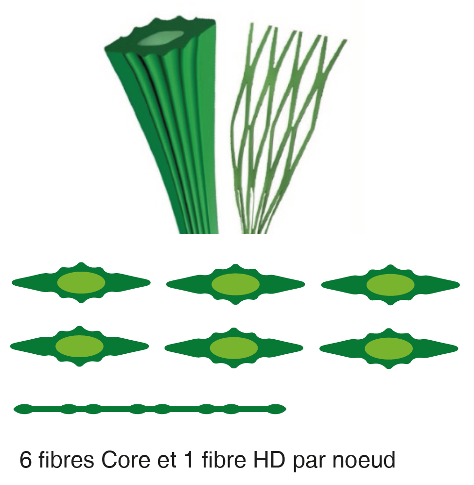 Vertex core