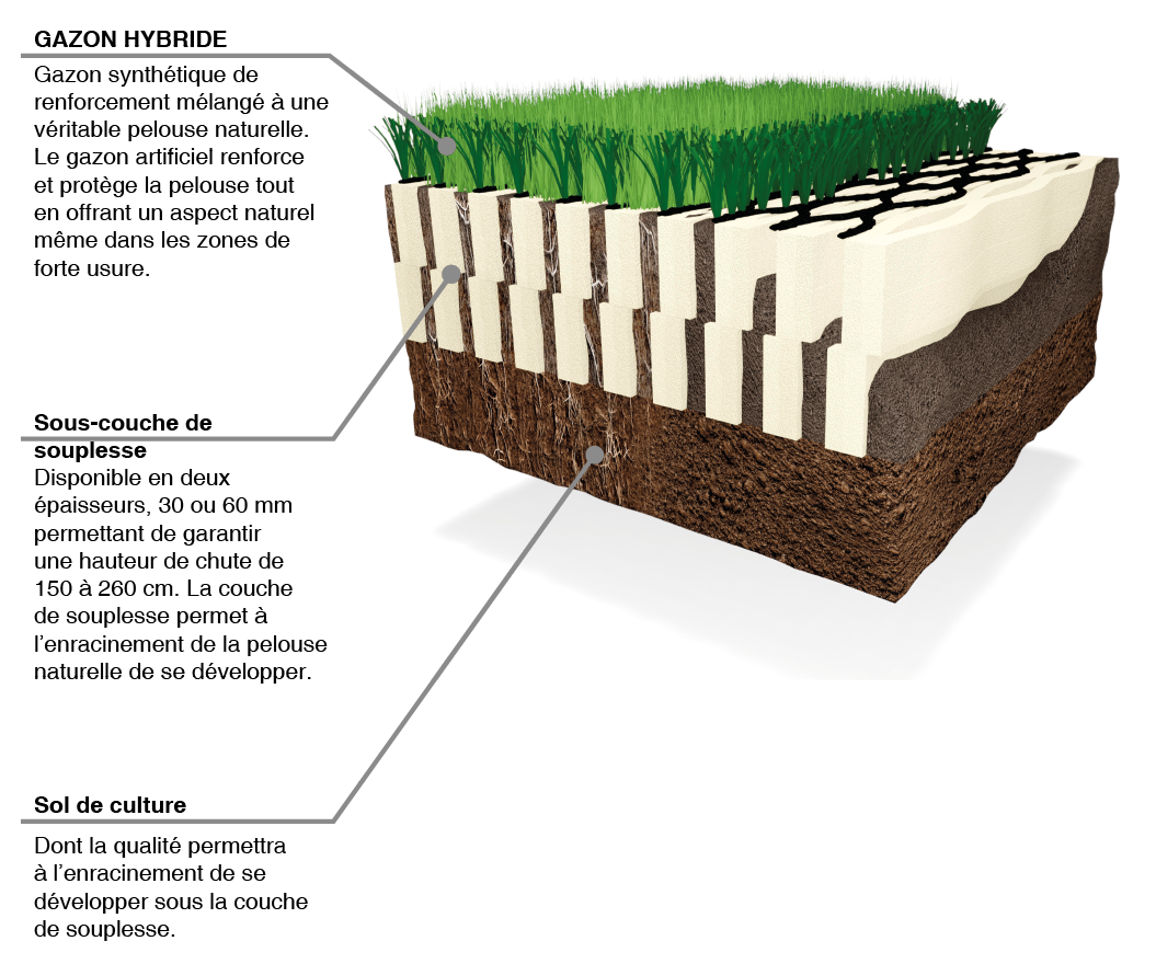 Nordic Lawn