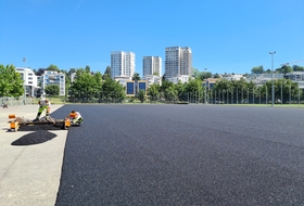 Terrain de football synthétique de Lausanne Vidy