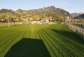 Terrain de football naturel