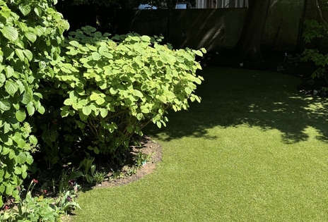 Greenplaisance