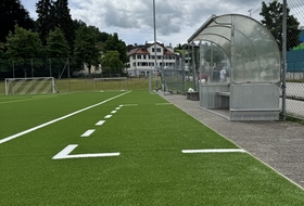 Kunstrasen