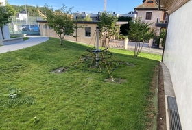 Nordic Lawn