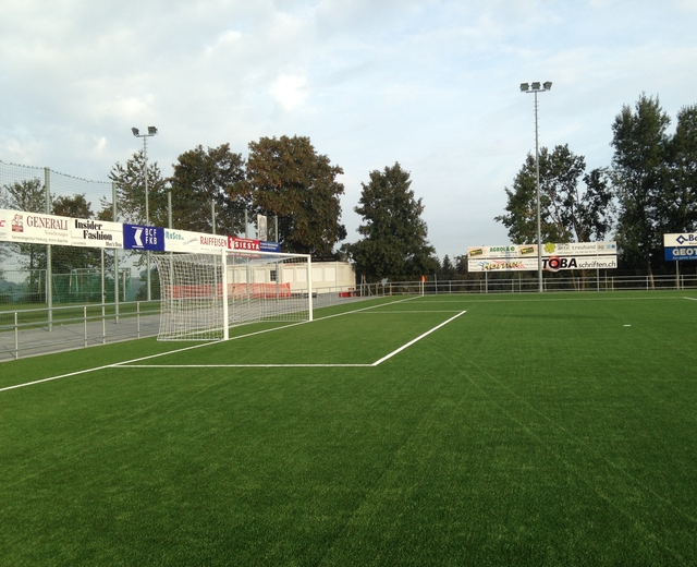 Düdingen - Stadium Birchhölzli