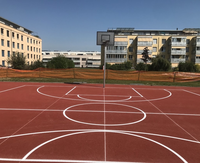 Basket bulle online