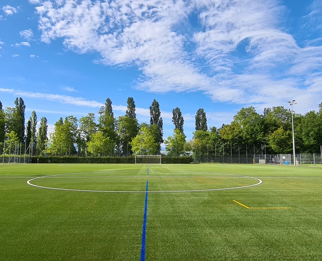 Terrain de football synthétique de Lausanne Vidy