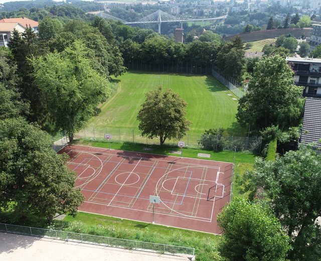 Multisports