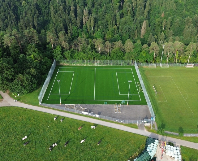 Kunstrasen