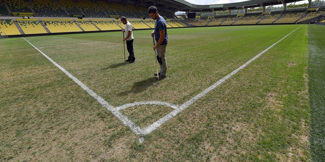 Pyricularia gazon football stade