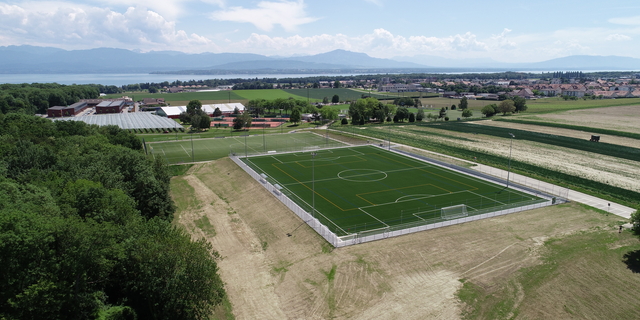 Gland_terrain synthétique