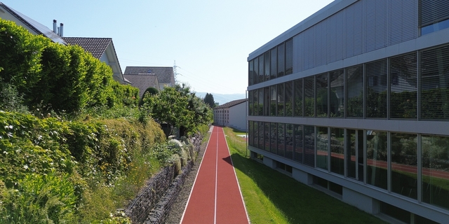 Leichtathletik