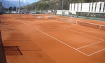 Tennis Club